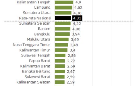 Statistics on Women in Politics: Proportion of Women Who Hold the Position of Village Heads